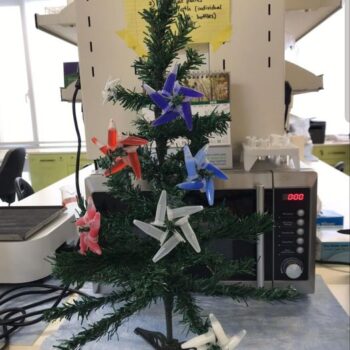 Celebrating Christmas at the lab (2019)